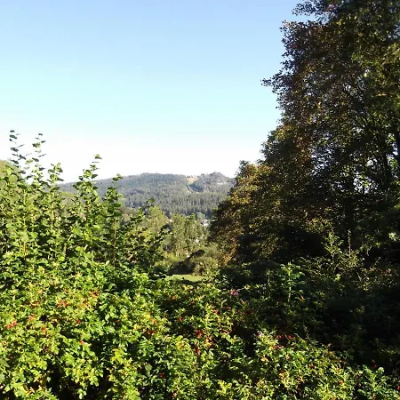 Fewo 4 Am Rechensoldenweg 29 Bodenmais