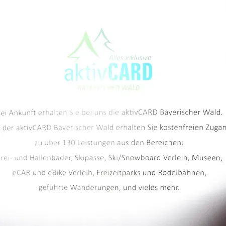 Fewo 4 Am Rechensoldenweg 29 Appartement Bodenmais